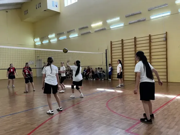 2857923E-D36A-40F1-AB26-3DCEB5726618