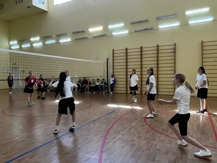 8DEC9F55-29C2-40AD-9EC9-BEE590D838D5