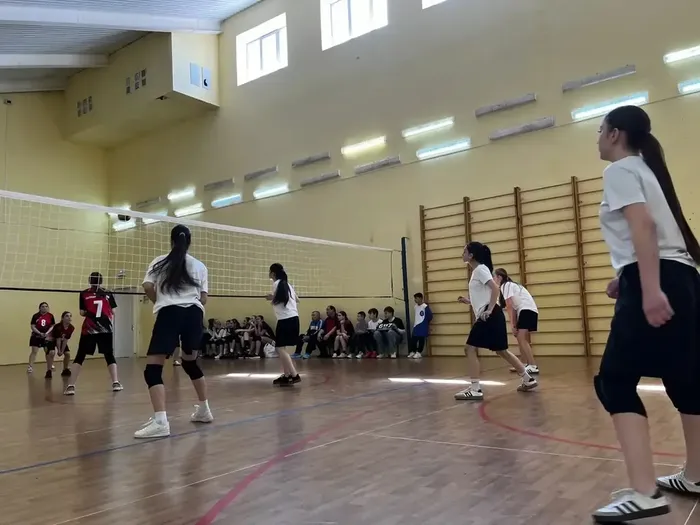 86F77275-D722-445E-8B6D-5998939E9FBB